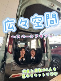 いま！！軽自動車がアツい！！！！！！
